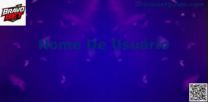 Interface de segurança de Nome de Usuário e proteção de conta Bravo Bet