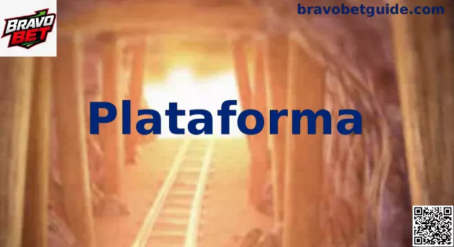 Estrutura e funcionamento de uma plataforma digital