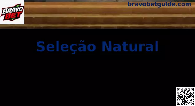 Guia de Seleção Natural na Bravo Bet para comparar jogos, bônus, riscos e limites