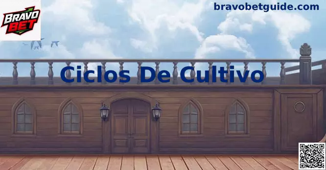 Ciclos de Cultivo Bravo Bet